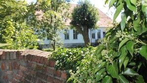 A brick wall with lush green foliage in the foreground.