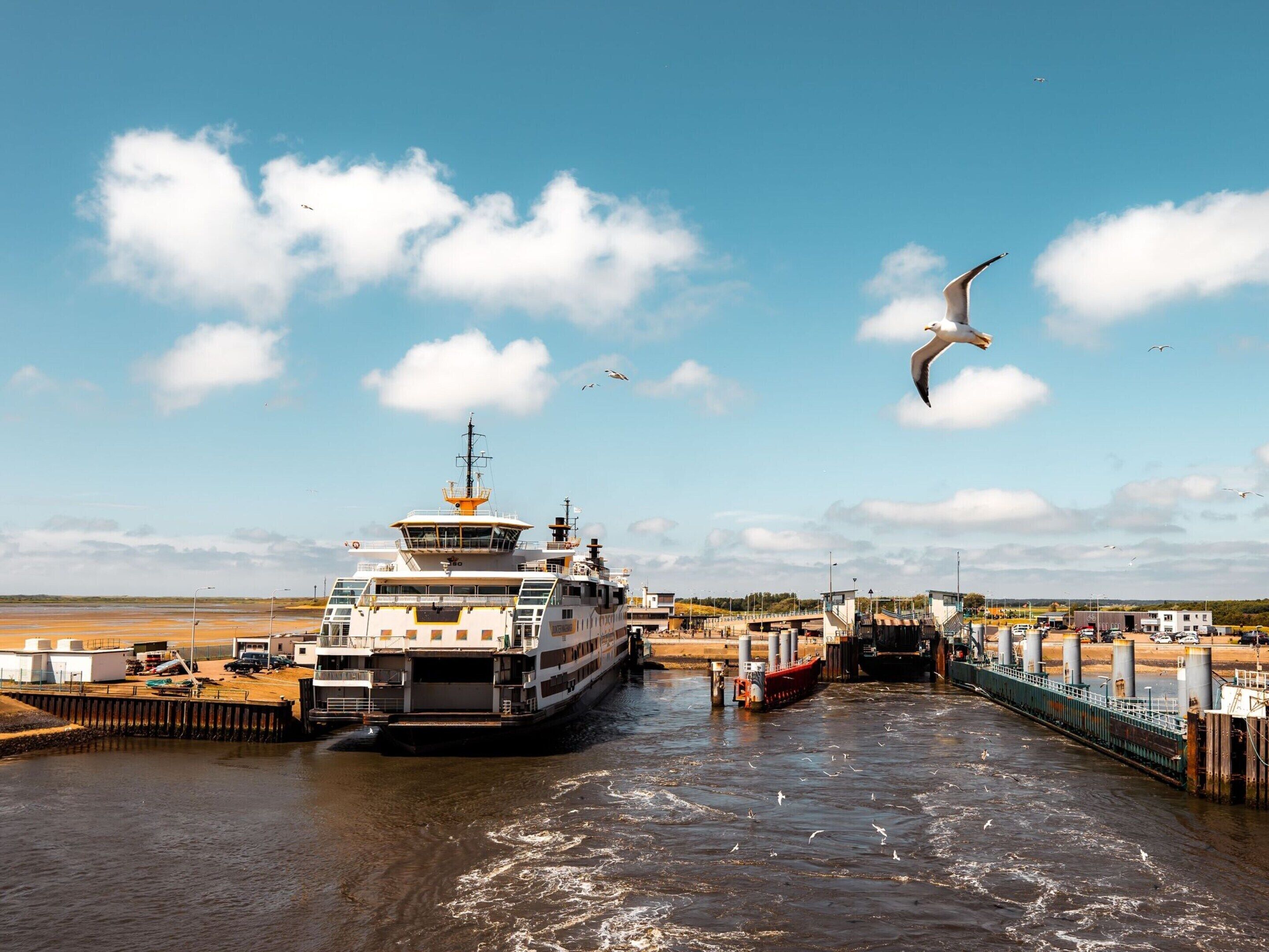 A ferry dock with a large ferry, a pedestrian bridge, and a clear sky.