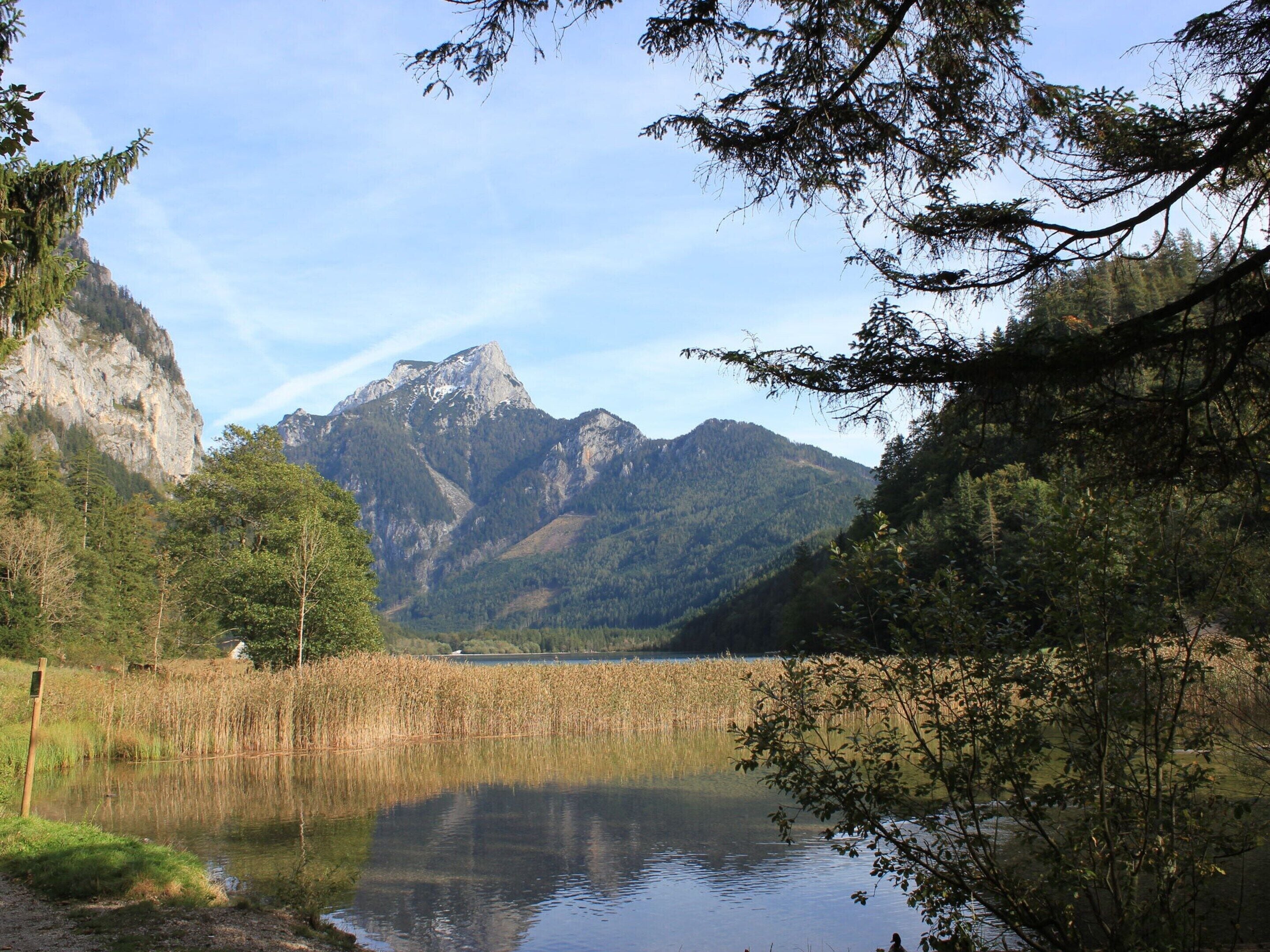 A serene lake surrounded by dense forest and mountains.