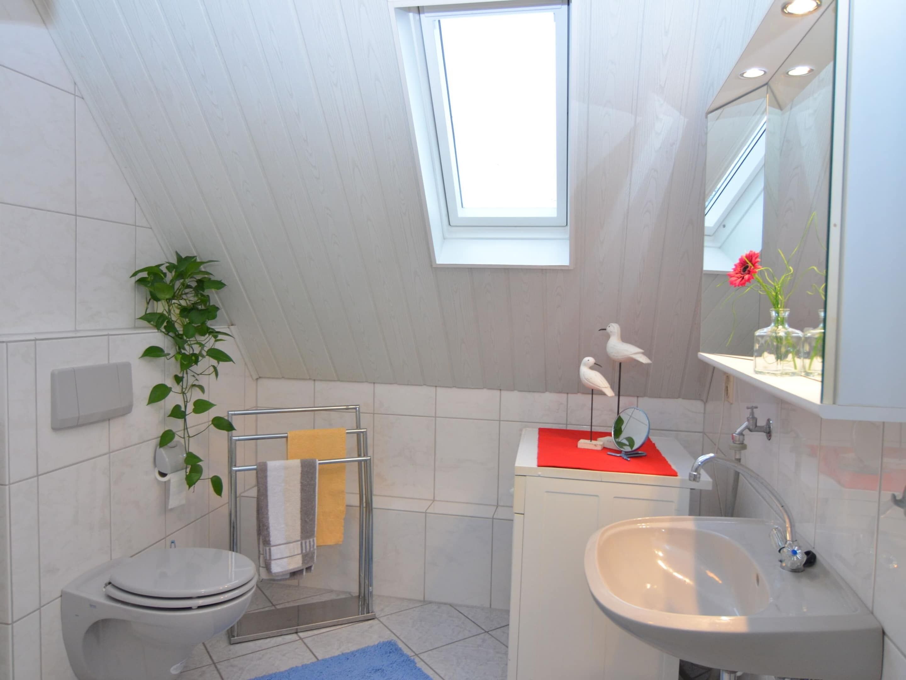 A modern bathroom with a skylight, a toilet, a sink, and a shower area.