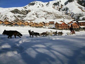 Exterior - Chalet Living in the Alps (Saint-Sorlin-d'Arves)