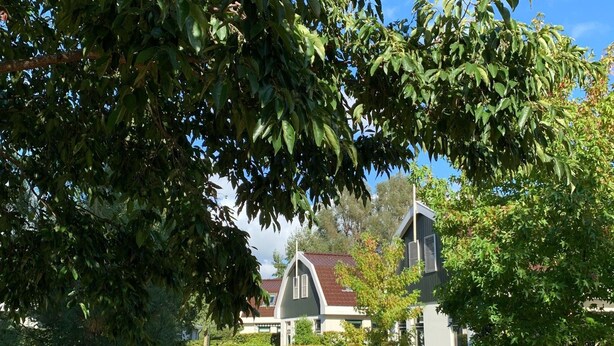 Un chemin menant à une maison dotée d’un toit à forte pente et d’une façade à pignon.