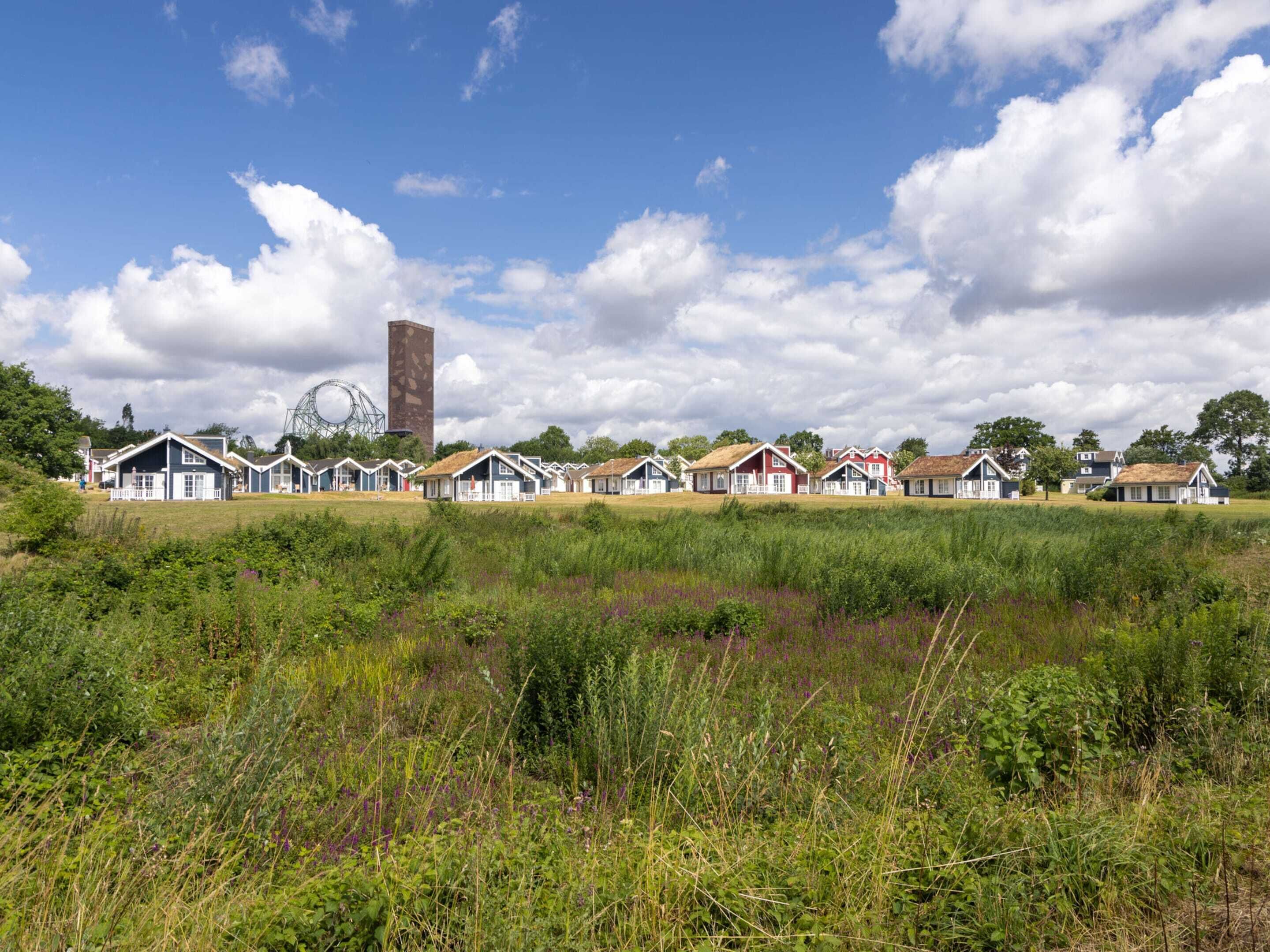 A row of traditional houses with a roller coaster in the background.