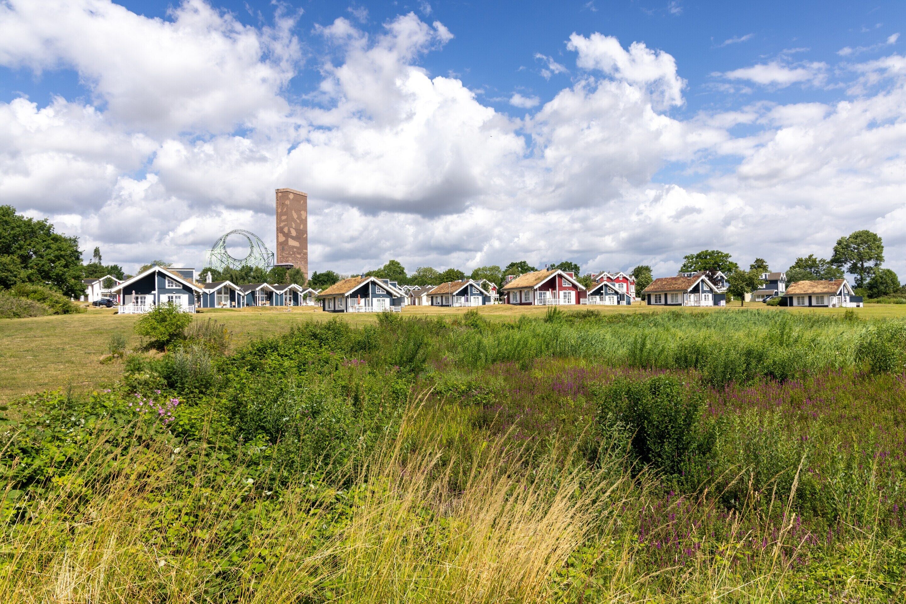 A row of traditional houses with a large Ferris wheel in the background.