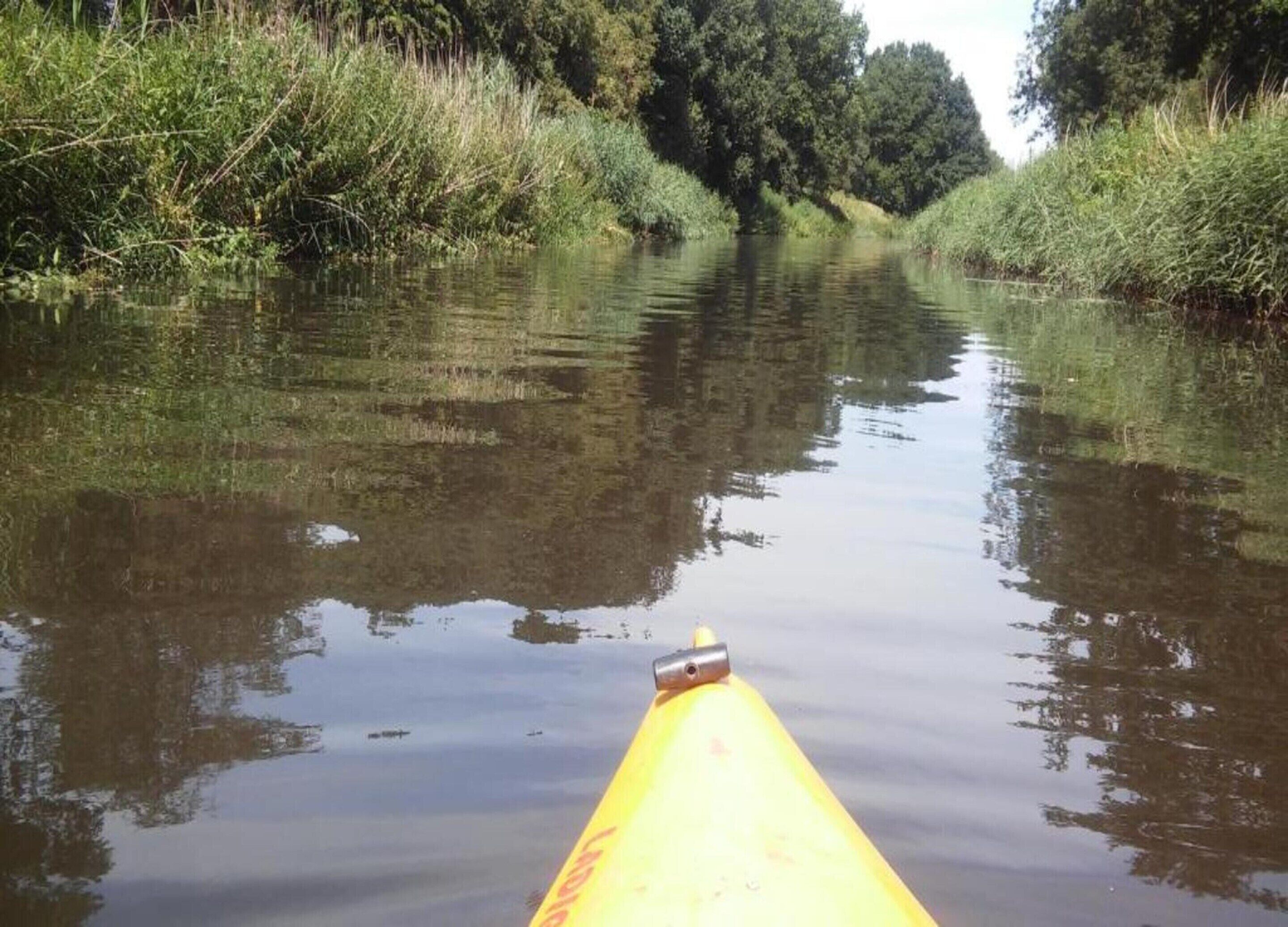 Ein schmaler Wasserweg, gesäumt von dichter Vegetation.