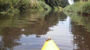 Ein schmaler Wasserweg, gesäumt von dichter Vegetation.