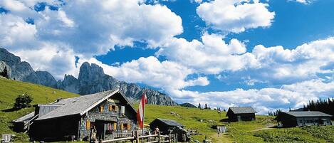 Alpehytte | Utsikt fra overnattingsstedet