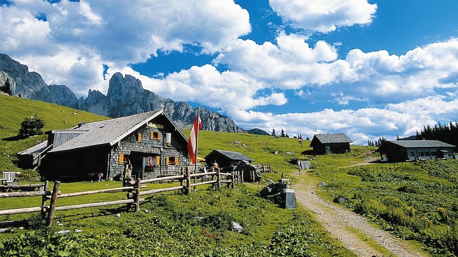 Spacious Chalet in Leogang near Ski Area