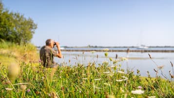 Cottage | View from property