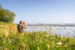 Cottage | Quang cảnh nhìn từ nơi lưu trú