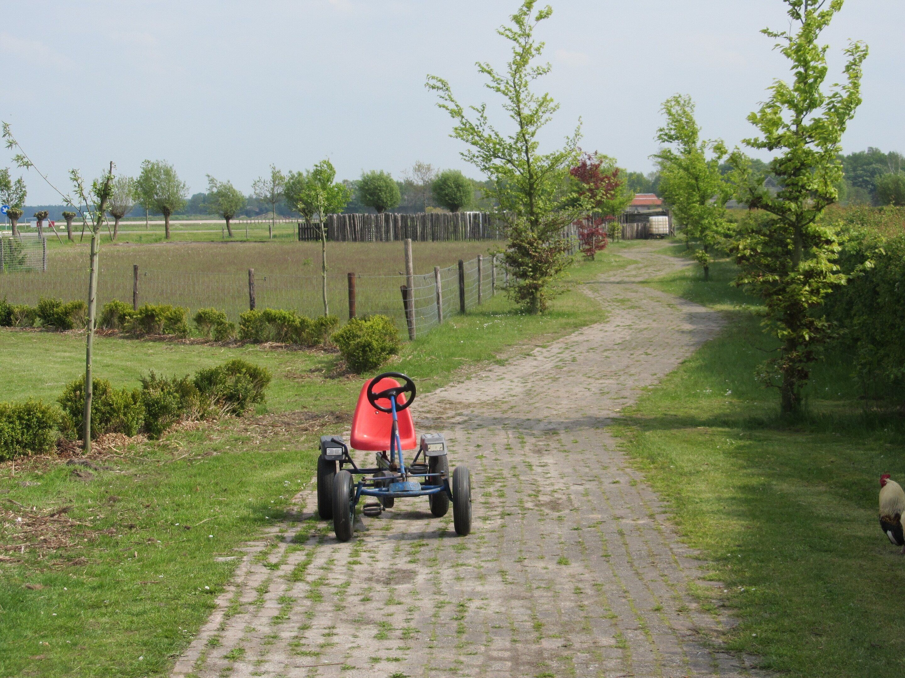 A rural path with a tractor and a chicken.