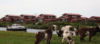 Detached Villa With Dishwasher Near Leeuwarden