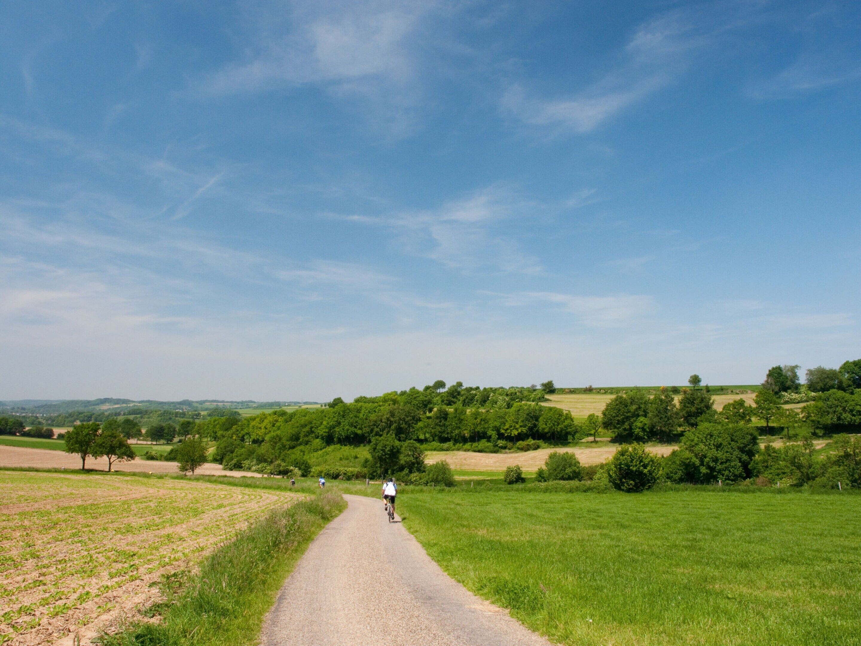 A rural road with cyclists, surrounded by green fields and trees under a clear sky.