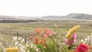 1 bedroom, individually furnished, bed sheets - Modern Suites Near Beach (Callantsoog)