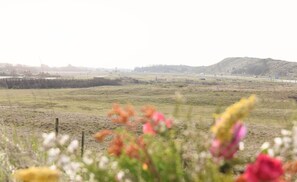 1 bedroom, individually furnished, bed sheets - Modern Suites Near Beach (Callantsoog)