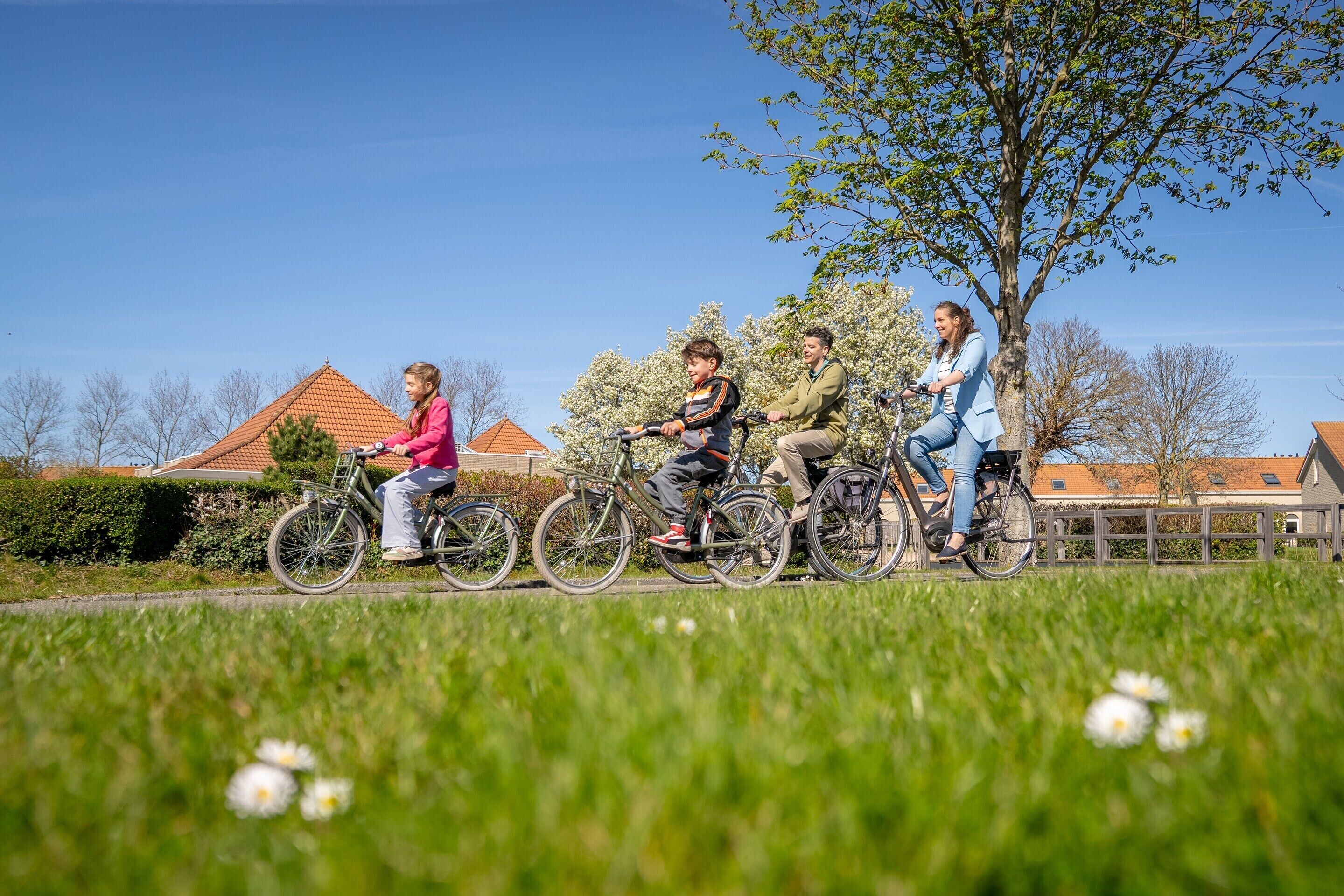 Four people riding bicycles on a path with grass and flowers in the foreground, a tree, and houses in the background.
