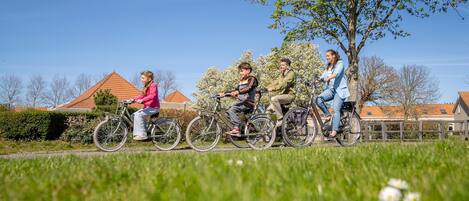 Four people riding bicycles on a path with grass and flowers in the foreground, a tree, and houses in the background.