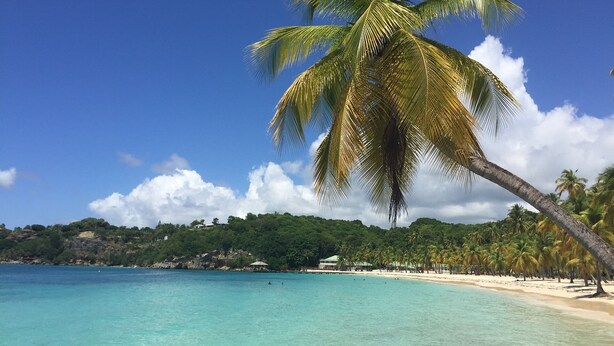 A beach with clear turquoise water, palm trees, and a distant hill with buildings. - NEW! Luxury villa with private pool (sainte anne)