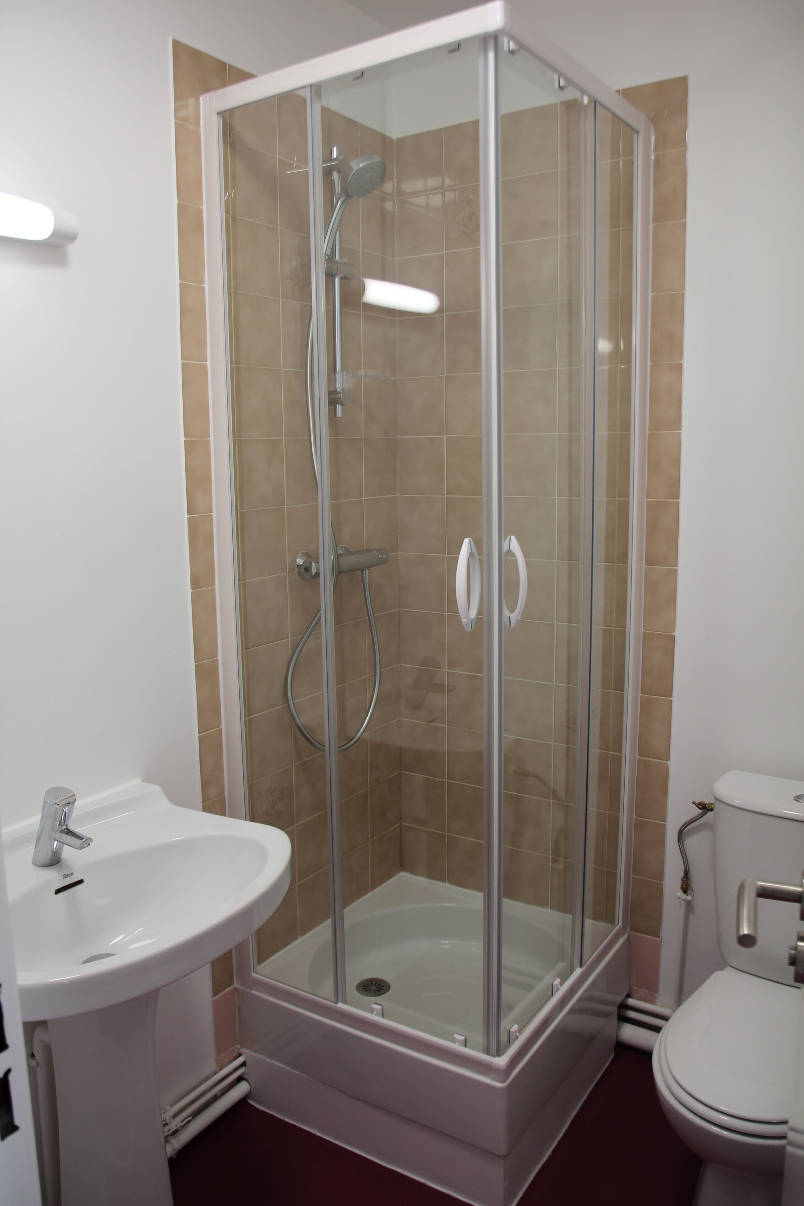 Un baño con ducha de vidrio, un lavamanos blanco y un inodoro.