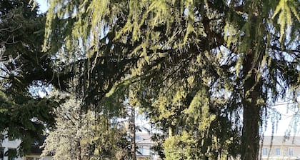 Auberge de Jeunesse Orléans Centre Ville - Hostel