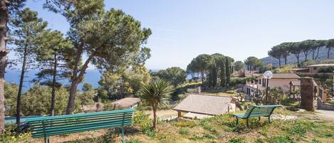 A coastal area with two green benches, a small building with a tiled roof, and a view of the sea.