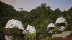 Une série de logements en forme de dôme, entourés d’une végétation luxuriante, avec un sentier menant à l’entrée.