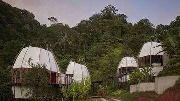 A series of dome-shaped accommodations surrounded by lush greenery, with a pathway leading to the entrance.