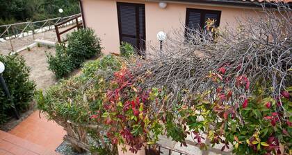 APP.TI NORSI - NORSI - BILO