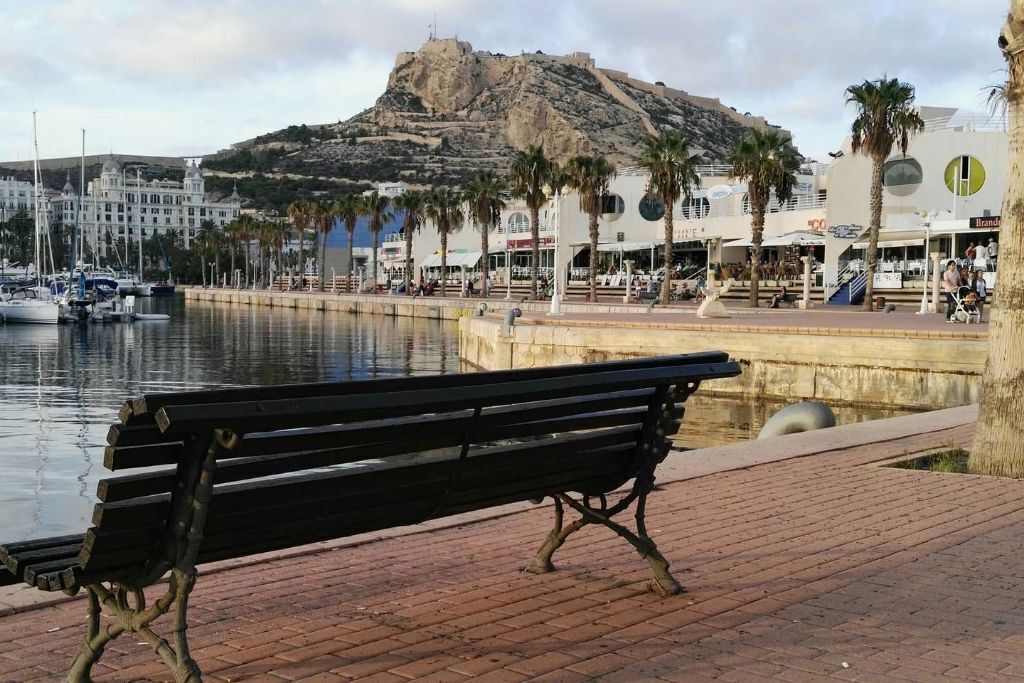 Une promenade en bord de mer avec un banc, des palmiers et, au loin, une colline surmontée d’une structure ressemblant à un fort.