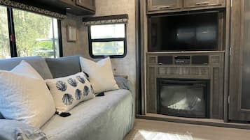 Smart TV, fireplace, DVD player, video library