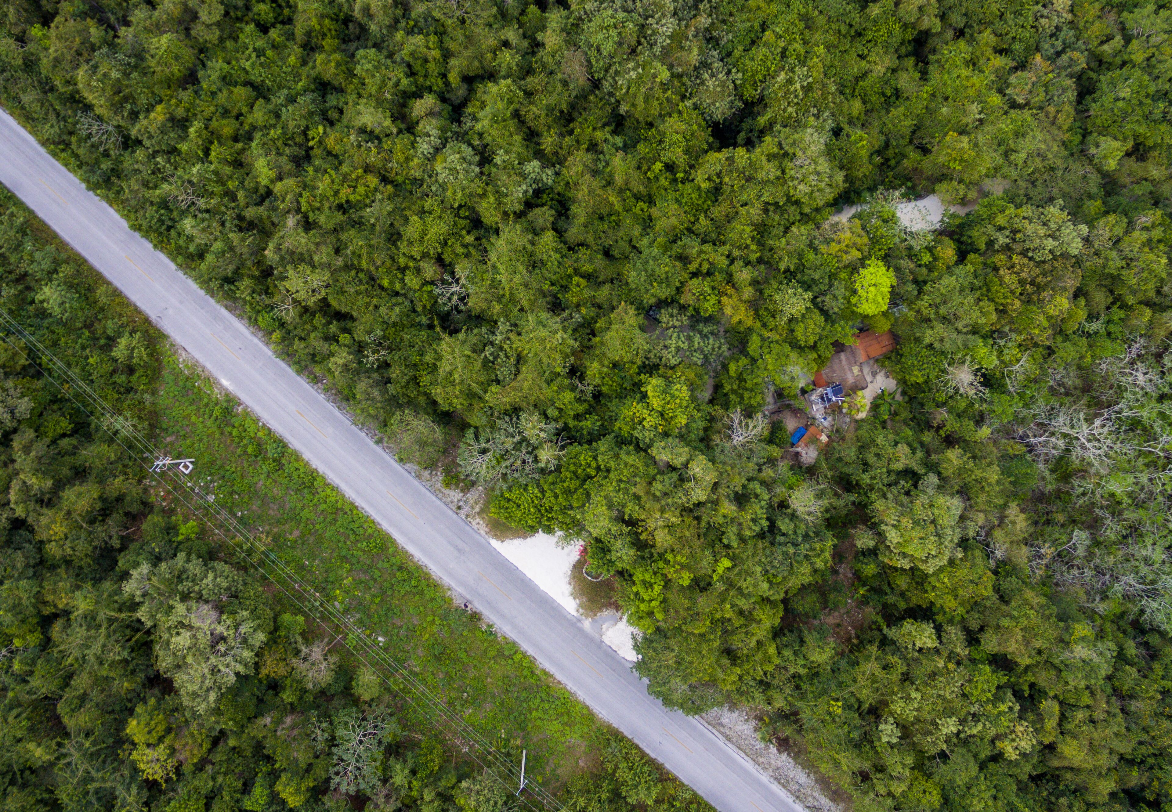 Une vue aérienne d’une route traversant une forêt dense, avec une petite clairière et quelques bâtiments dispersés.