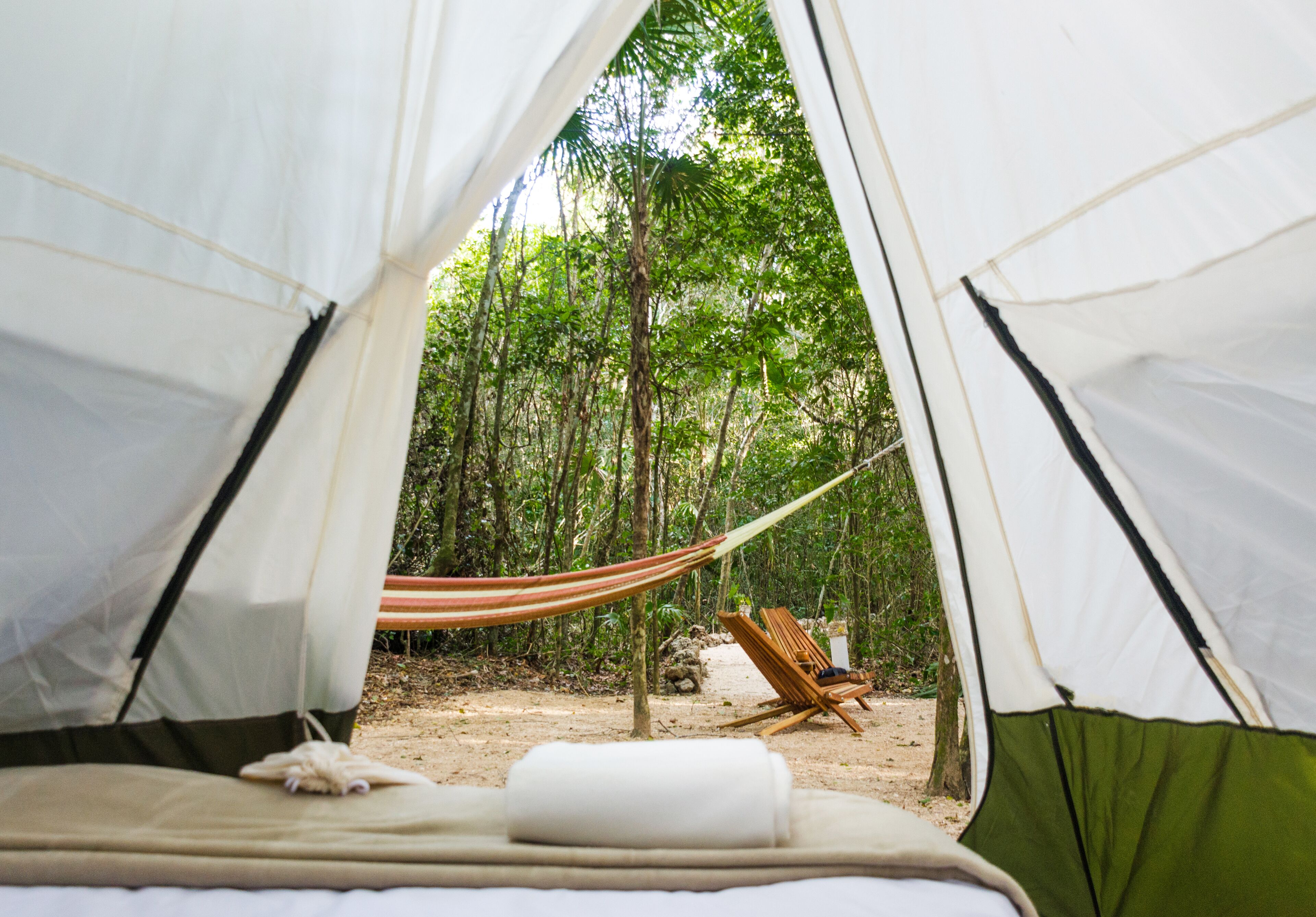 Una carpa con una hamaca y una silla en un área boscosa.