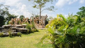 Un jardin aménagé dans un style naturaliste, avec une structure en pierre et des plantes tropicales.
