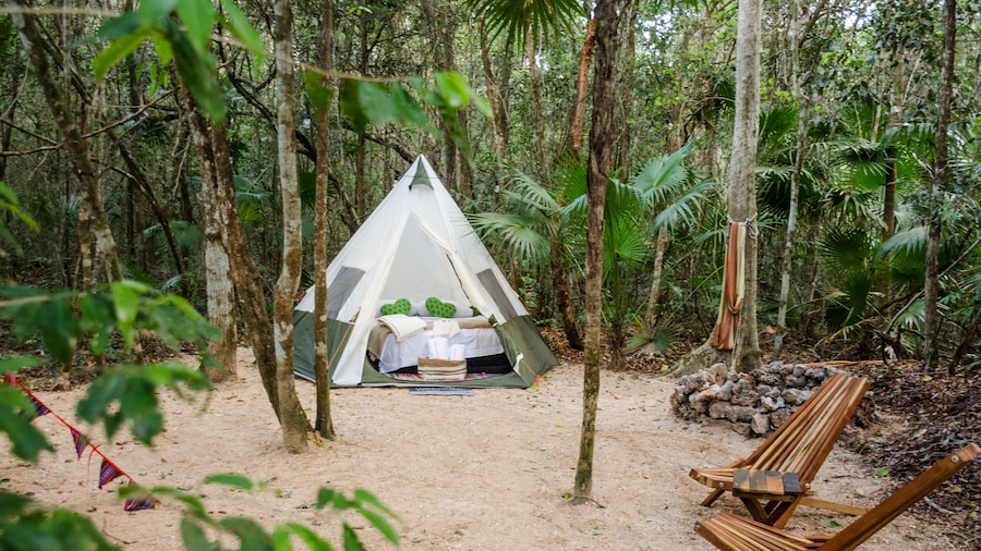 Glamping Mama Loo MM