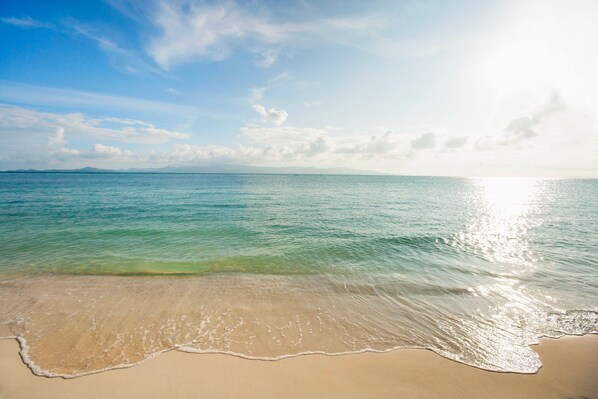 Beach nearby, sun-loungers, beach towels - Hampton Retreat Available for August (Southampton)