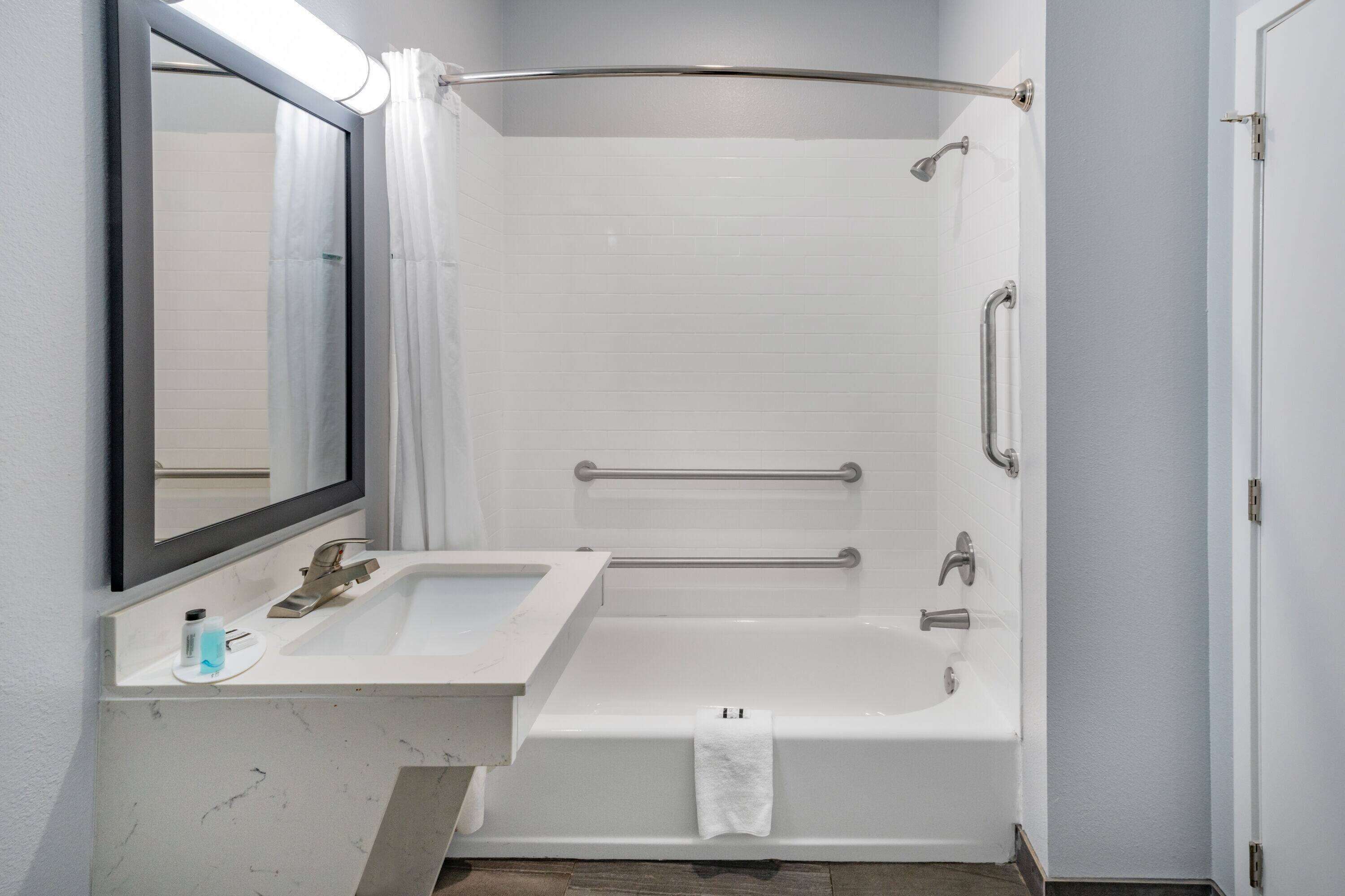 room, 1 king bed, accessible, non smoking (mobility) | accessible bathroom