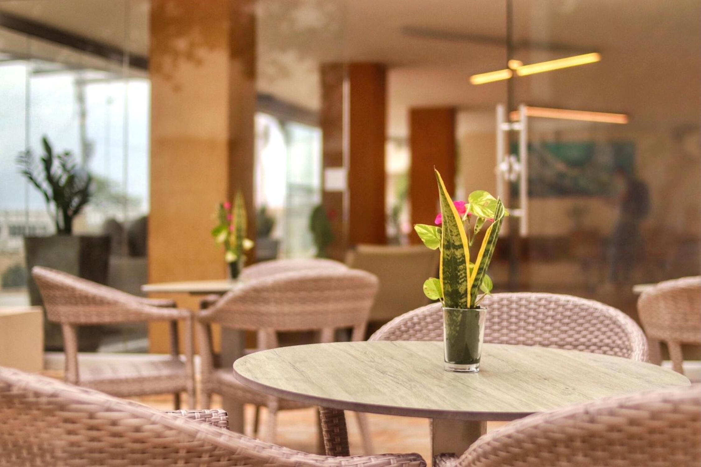 Foto - Hotel Oceania Cartagena