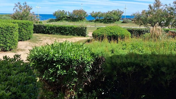 Un jardin aménagé avec des haies, un ciel dégagé et une vue sur la mer.