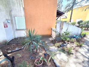 Un patio con un muro de concreto, una puerta de madera y un pequeño jardín con plantas y una maceta.