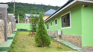 A residential building with a green exterior, stone steps, and a small lawn with a coniferous tree. - 3A's Guest House (Akosombo)