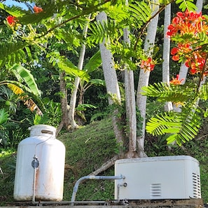 Surrounded by lush greenery, this space features a water tank and electrical box, blending seamlessly into its natural surroundings.