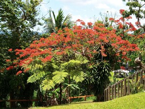 Property grounds - Casa Campo Obymar, Panoramic Villa with private pool. Electric generator (Moca)