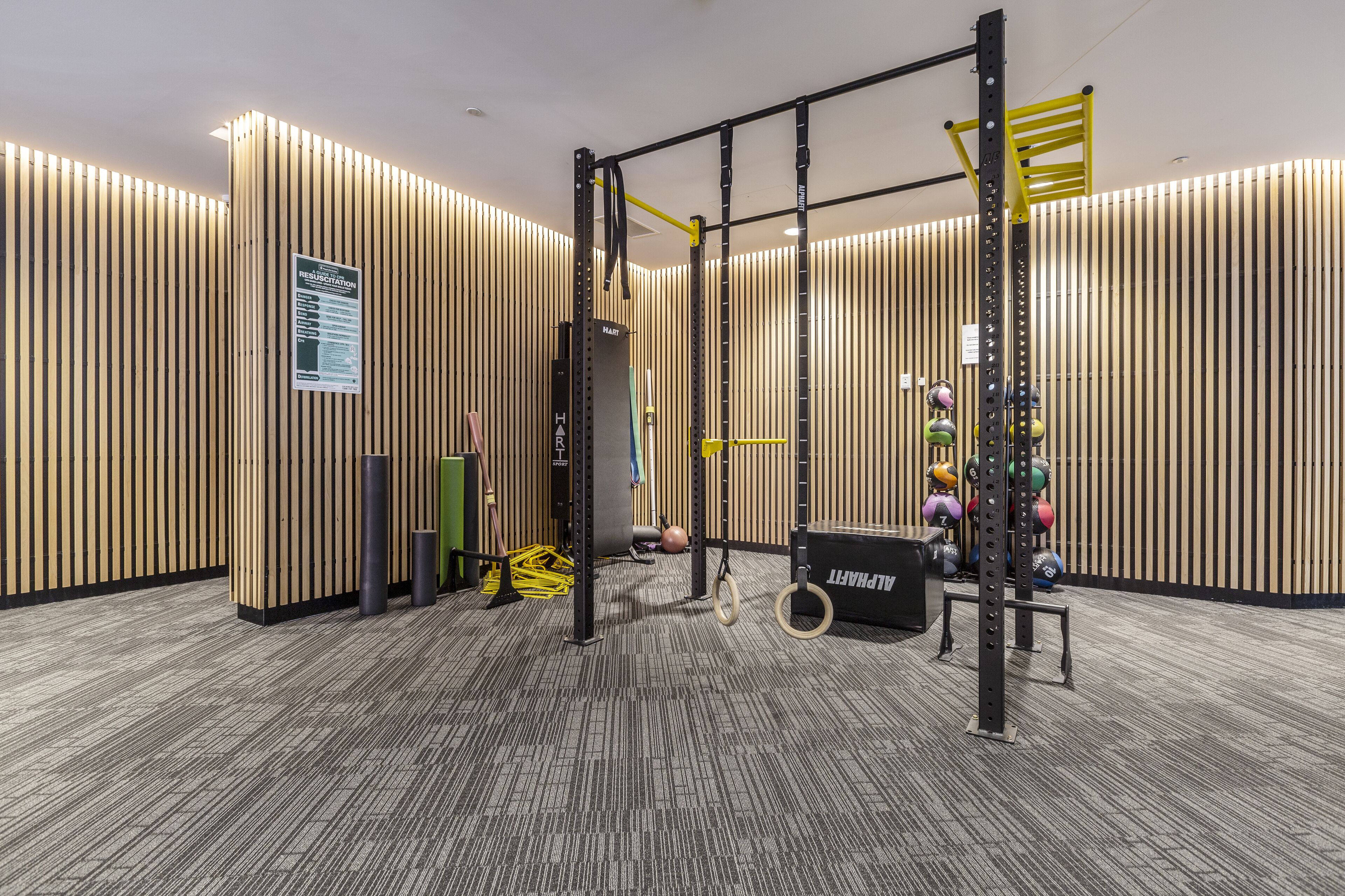 A gym with a pull-up bar, weight rack, and exercise balls.