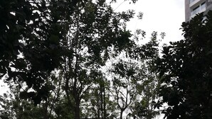 A pathway in a park with trees and a view of a body of water. - Cybersquare by Flexihome (Cyberjaya)