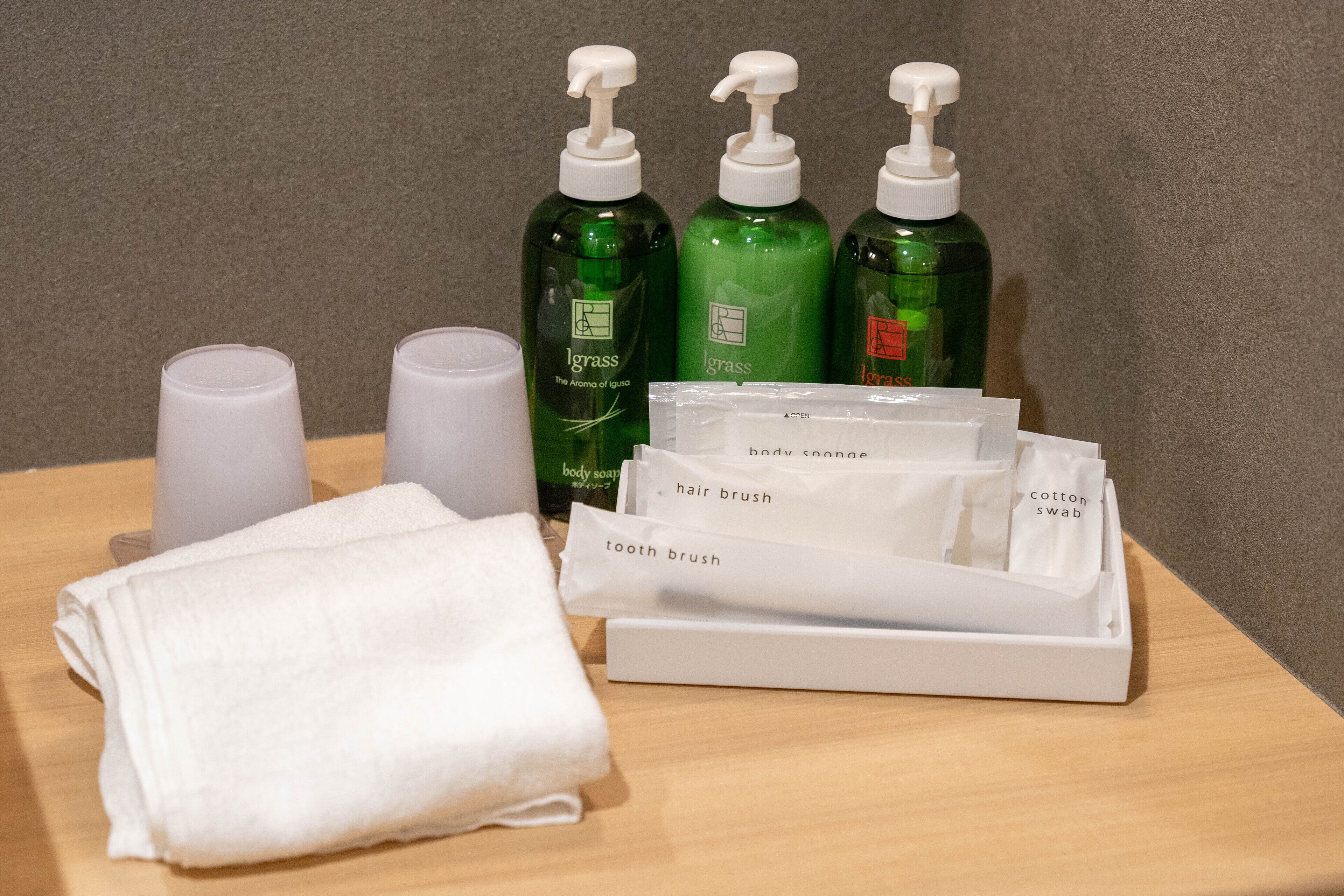 combined shower/bathtub, deep-soaking bathtub, hair dryer, slippers