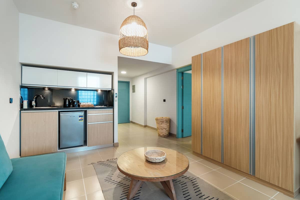 one bedroom apartment back view | living area | smart tv, fireplace