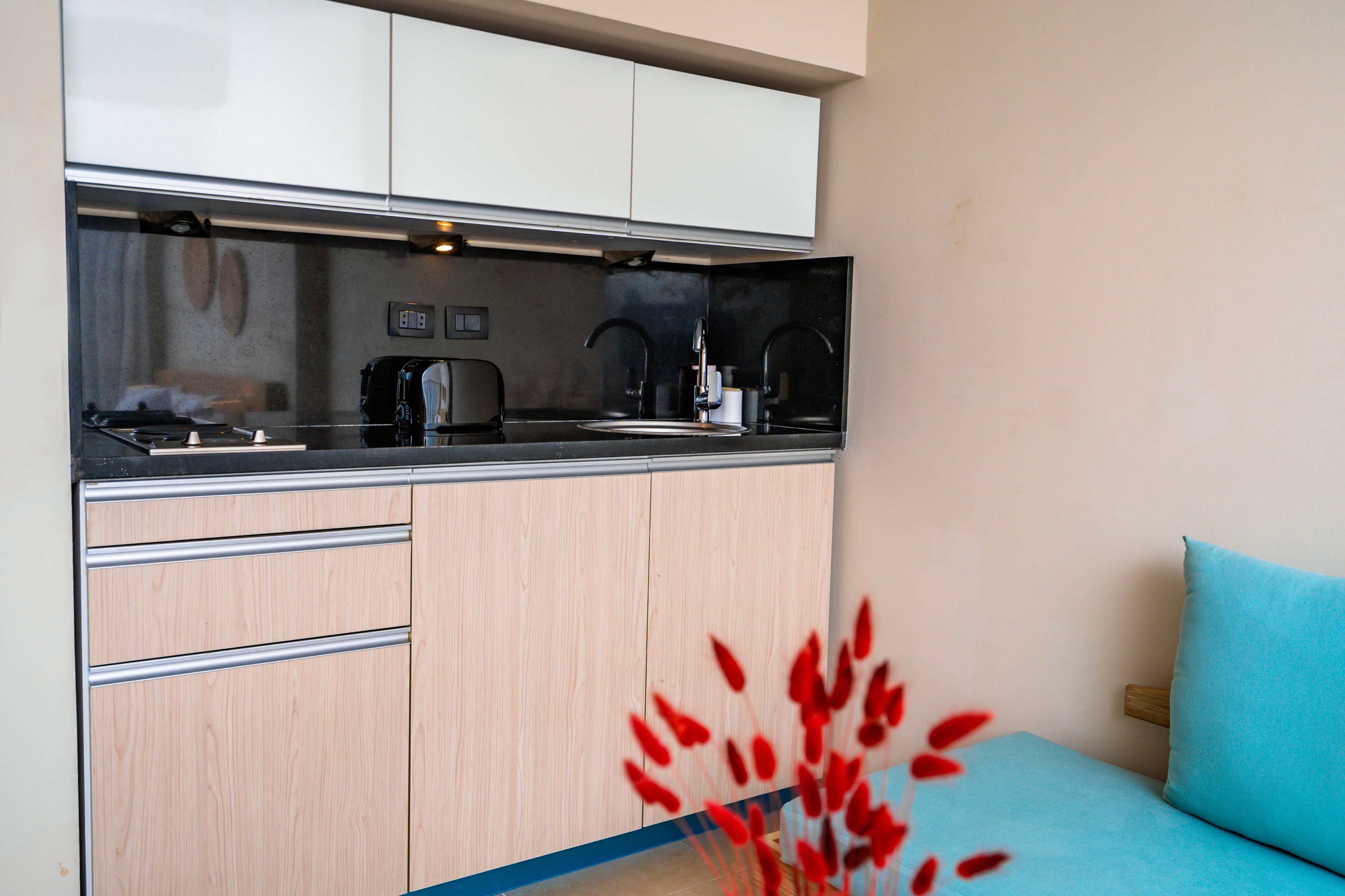 mini-fridge, coffee/tea maker, electric kettle, toaster oven