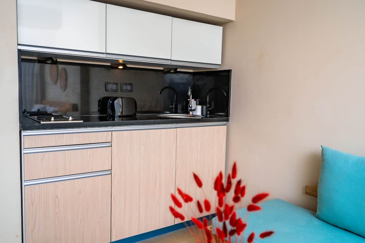 mini-fridge, coffee/tea maker, electric kettle, toaster oven