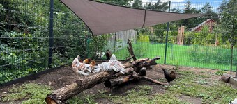 Cozy vacation home not far from Berlin & Potsdam with 900sqm private garden