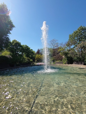 Àrea exterior de l'allotjament